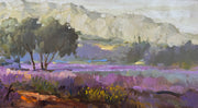 Campo de Lavanda, por Romanelli