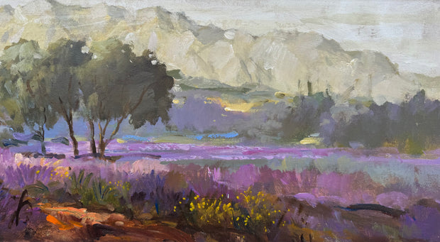 Campo de Lavanda, por Romanelli