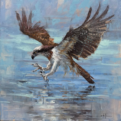 Águia Pescadora, por Saulo Pfeiffer