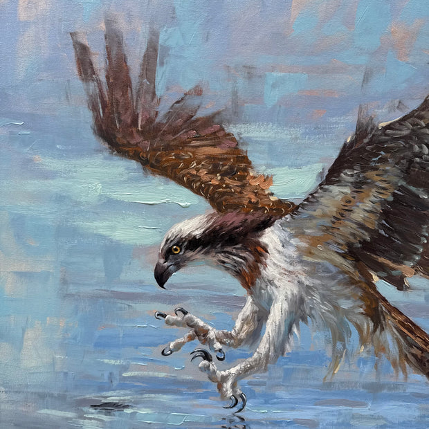 Águia Pescadora, por Saulo Pfeiffer