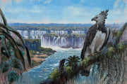 Harpia nas Cataratas, por Saulo Pfeiffer