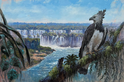 Harpia nas Cataratas, por Saulo Pfeiffer