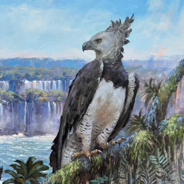 Harpia nas Cataratas, por Saulo Pfeiffer