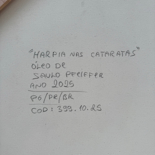 Harpia nas Cataratas, por Saulo Pfeiffer