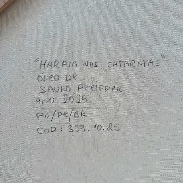Harpia nas Cataratas, por Saulo Pfeiffer