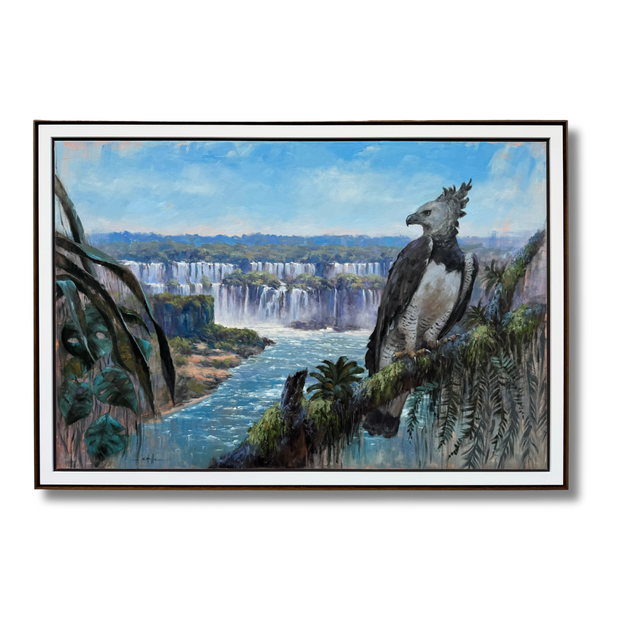 Harpia nas Cataratas, por Saulo Pfeiffer