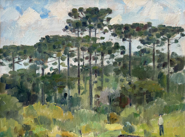 Araucária, por Theodoro de Bona