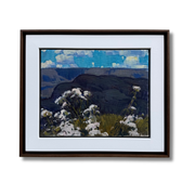 Sem Título, por Vinicius Silva