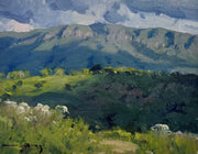 Sem Título, por Vinicius Silva