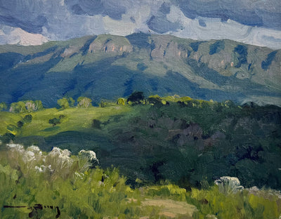 Sem Título, por Vinicius Silva