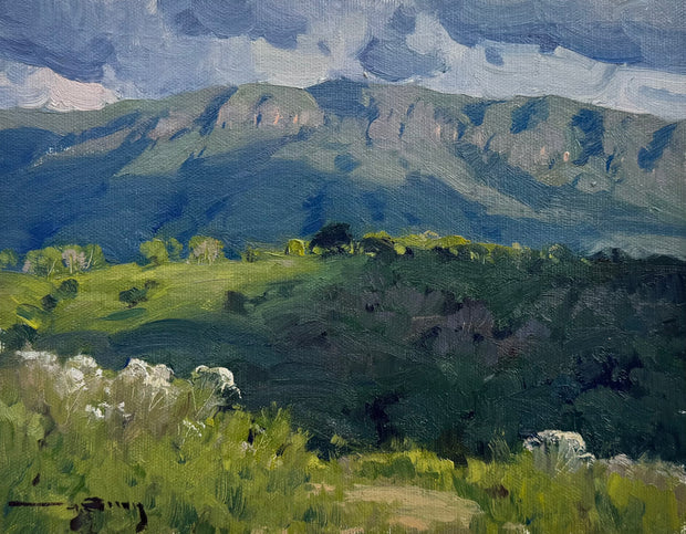 Sem Título, por Vinicius Silva