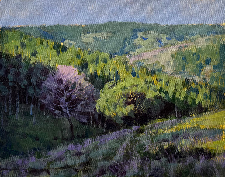 Sem Título, por Vinicius Silva