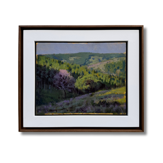 Sem Título, por Vinicius Silva