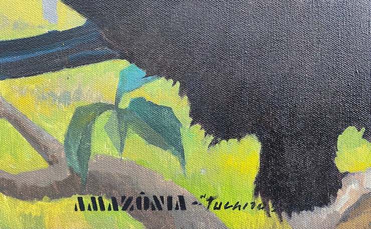 Tucano, por Giovanni Gargano - Galeria Um Lugar ao Sol
