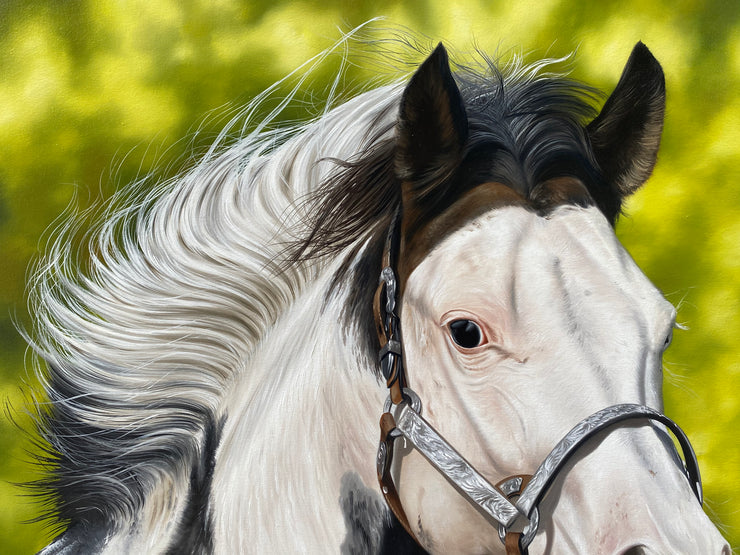 Paint Horse, por Elton Brunetti - Galeria Um Lugar ao Sol