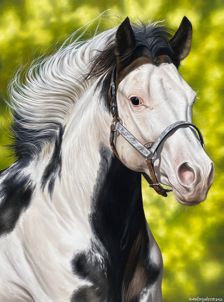Paint Horse, por Elton Brunetti - Galeria Um Lugar ao Sol