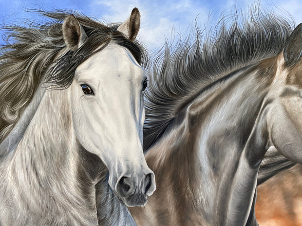 Cavalos Árabes, por Elton Brunetti - Galeria Um Lugar ao Sol