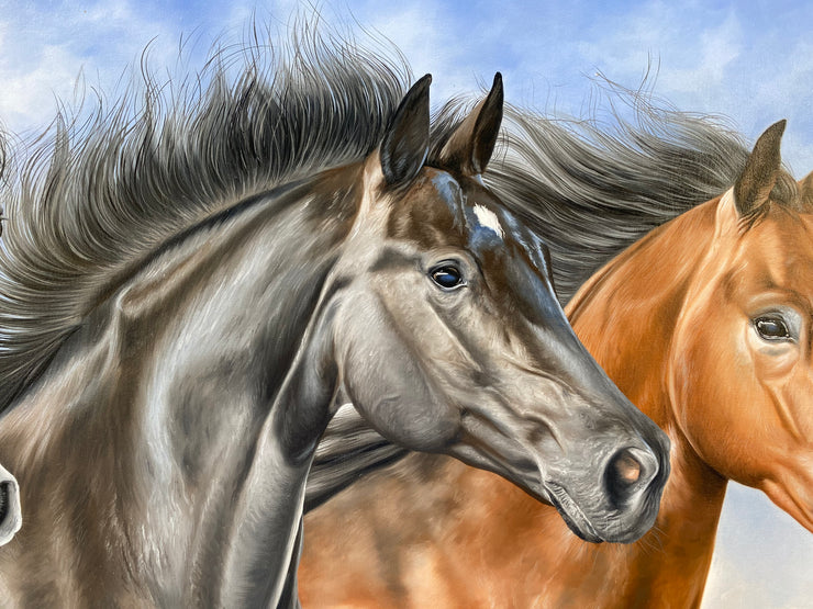 Cavalos Árabes, por Elton Brunetti - Galeria Um Lugar ao Sol