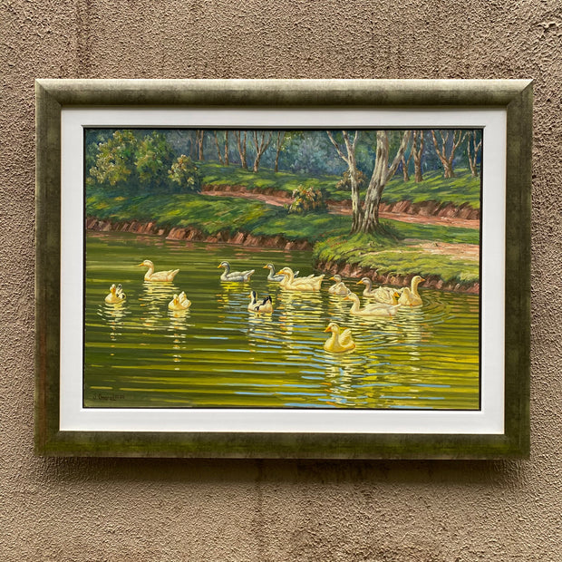 Gansos e Patos no Parque Barreirinha, por Jair Amaral - Galeria Um Lugar ao Sol