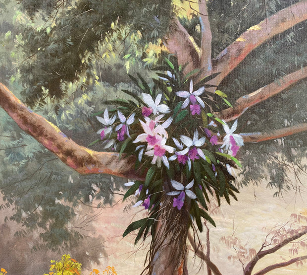 Orquídeas no Quintal, por José Rosário - Galeria Um Lugar ao Sol