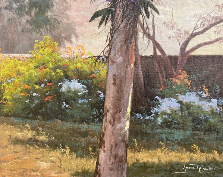 Orquídeas no Quintal, por José Rosário - Galeria Um Lugar ao Sol