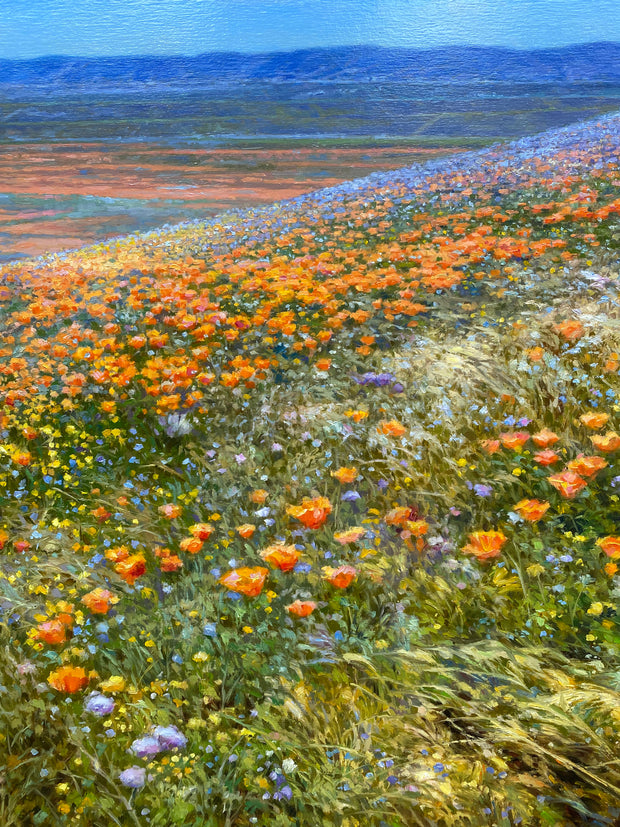 Campos Floridos, por Morgilli - Galeria Um Lugar ao Sol