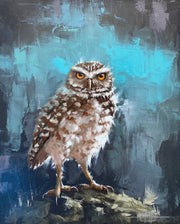 Burrowing Owl in the Moonlight, by Saulo Pfeiffer