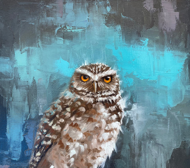 Burrowing Owl in the Moonlight, by Saulo Pfeiffer