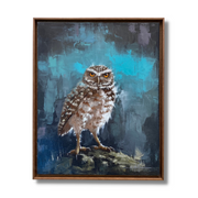 Burrowing Owl in the Moonlight, by Saulo Pfeiffer